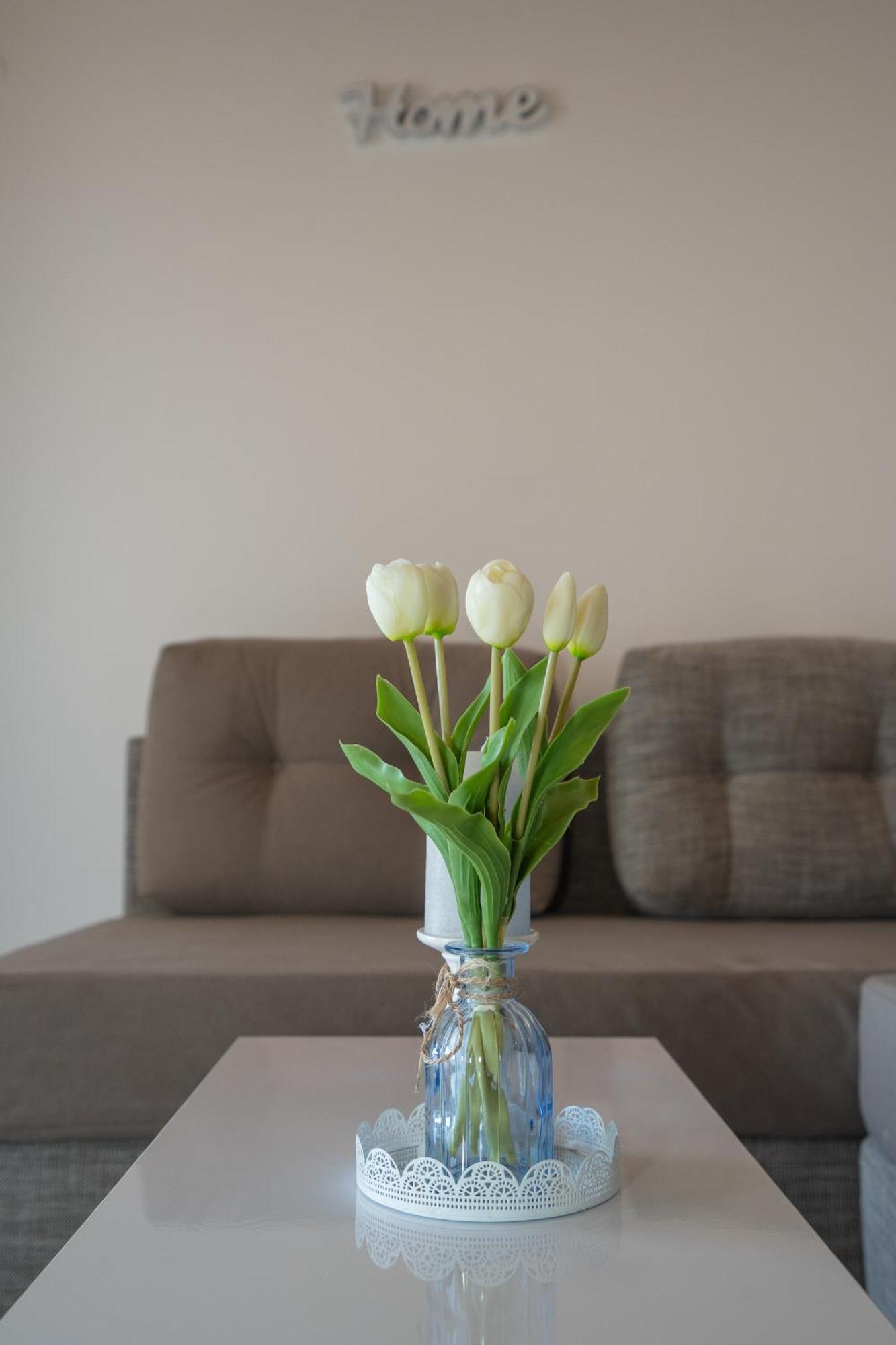 Garden - Maslina Apartment